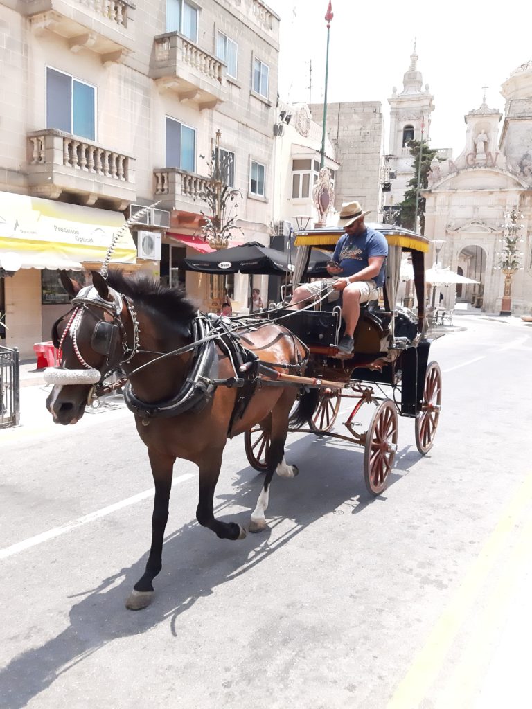 ראבאט- סיור על עגלה וסוסה