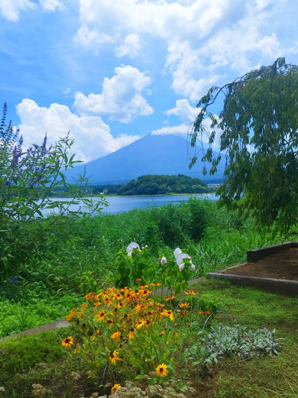 סיור מחוץ לטוקיו - הר הפוג׳י