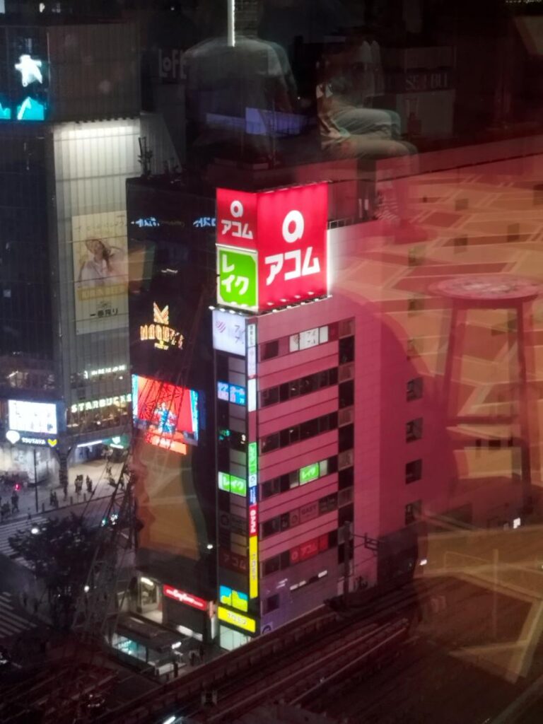 אורות הניאון בשיבויה