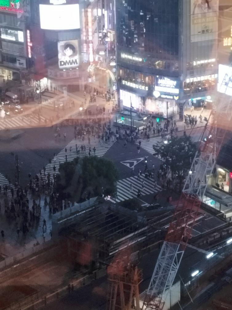 תצפית לילית על שיבויה