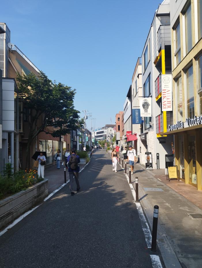 רחוב החתולים בטוקיו